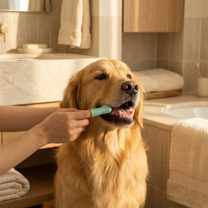 Dog Toothbrush, photo 2